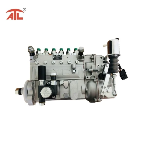 Fuel Injection Pump (10402376191) for Motor Sazan